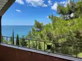 Двухместный номер Делюкс с 1 кроватью и балконом