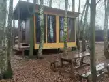 Дом с видом на лес