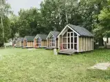 Дом "Стандарт"