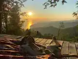 Сфера семейная