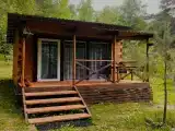 №2