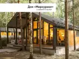 МЕРКУРИАЛ