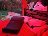 Дом Кама 18+