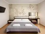 Двухместный номер с 1 кроватью