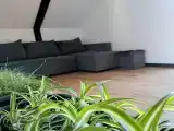 Двухместный номер Делюкс с 2 двуспальными кроватями