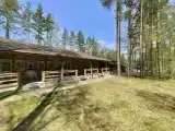 Семейный номер с террасой