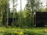 Дом с видом на лес