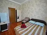 Двухместный номер с 1 кроватью