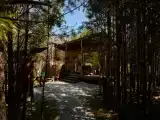 Дом номер 15