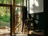 Дом с видом на лес