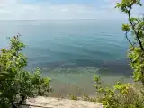 Полянка с видом на море №13