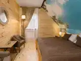 Двухместный номер Делюкс с 1 кроватью и душем