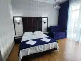 Двухместный номер Делюкс с 1 двухспальной кроватью и доп.местом