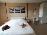 Двухместный номер с 1 кроватью