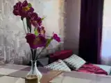 Апартаменты с террасой