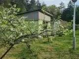 Дом для всей семьи