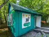 Трехместный номер с основными удобствами