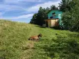 Семейный номер