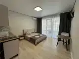 Двухместный номер-студия Делюкс с 1 кроватью