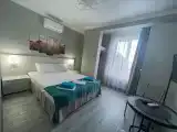 Большой двухместный номер с 1 кроватью