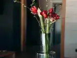 Апартаменты с 2 спальнями
