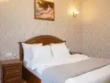 Двухместный номер Делюкс с 1 кроватью
