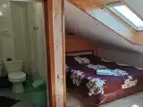 Двухместный номер Делюкс с 1 кроватью и душем