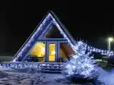 Дом с видом на лес