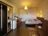 Двухместный номер Делюкс с 1 кроватью