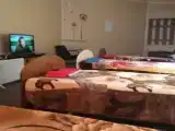 Номер стандарт с 4 односпальными кроватями