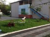 Четырехместный номер