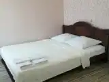 Двухместный номер с 1 кроватью