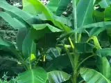 Шале с 2 спальнями