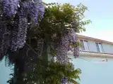 Трехместный номер с видом на горы