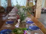Дом с видом на лес