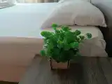 Двухместный номер с 1 кроватью и балконом