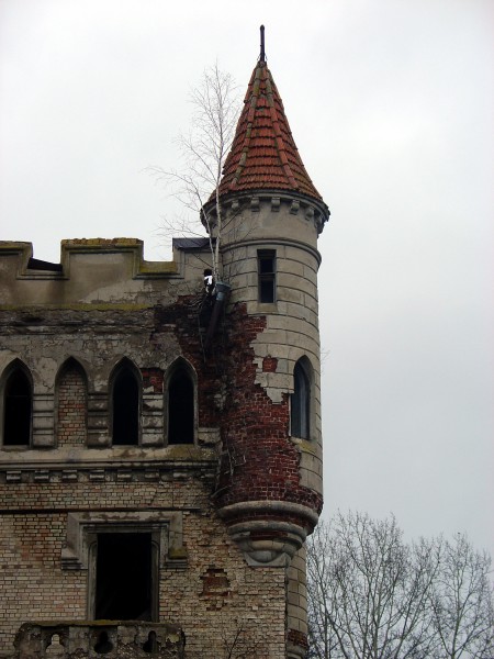 DSC03909.jpg