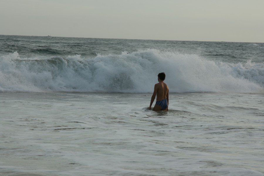 IMG_8728.JPG IMG_8728.JPG