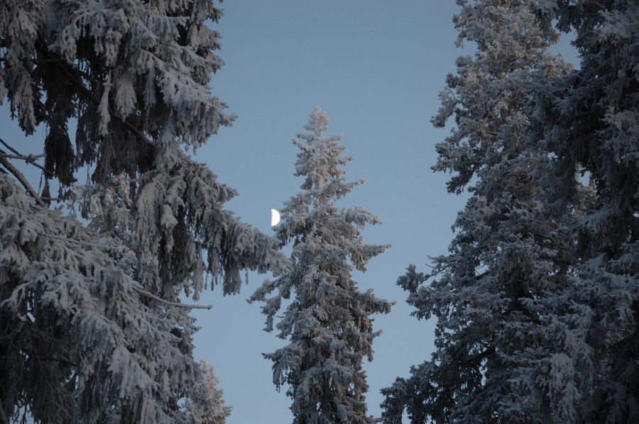 20090104_DSC_8656.jpg