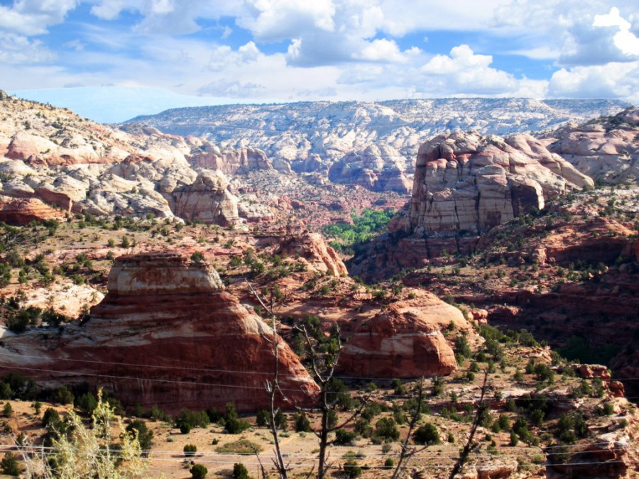 Плато Колорадо