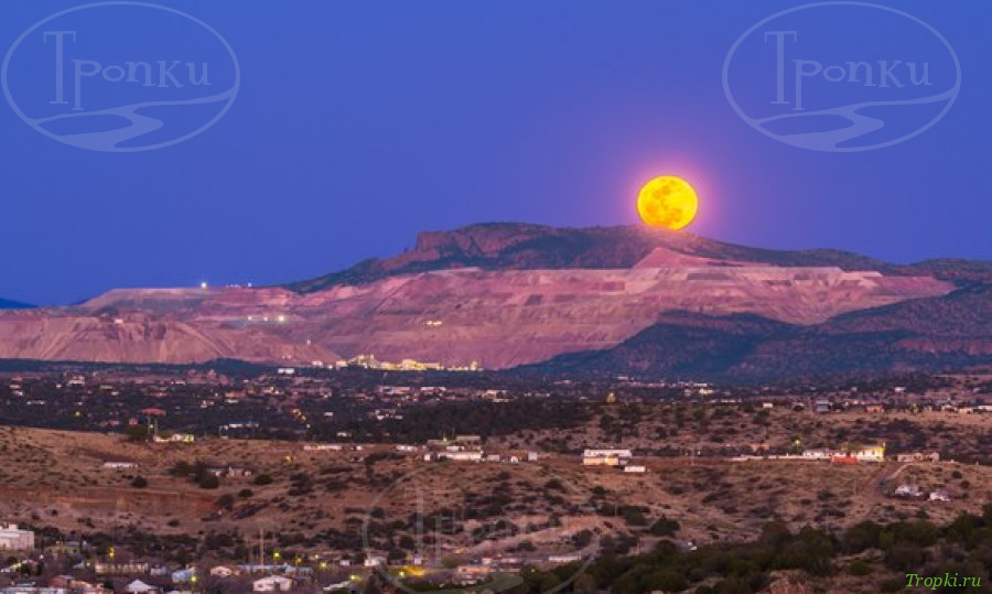 Силвер Сити