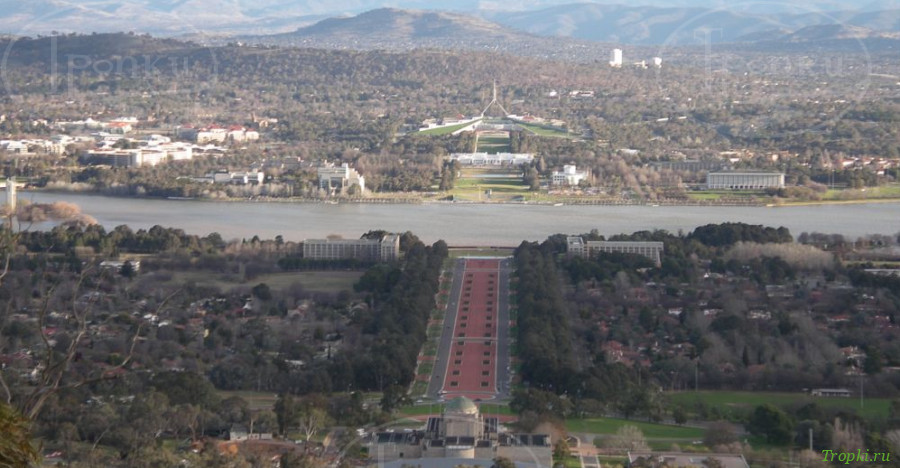 Канберра