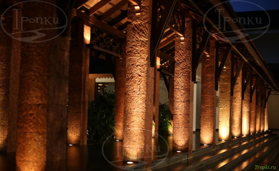 Васко-да-Гама