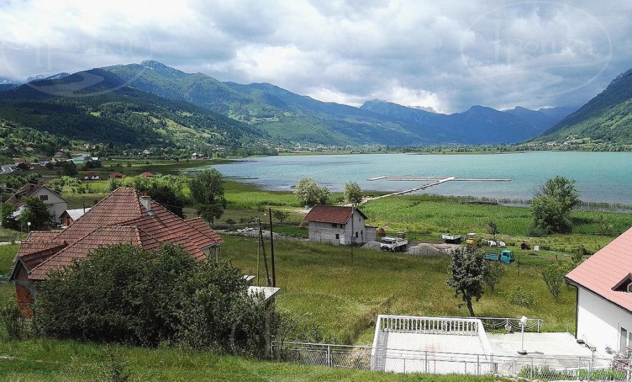Плав
