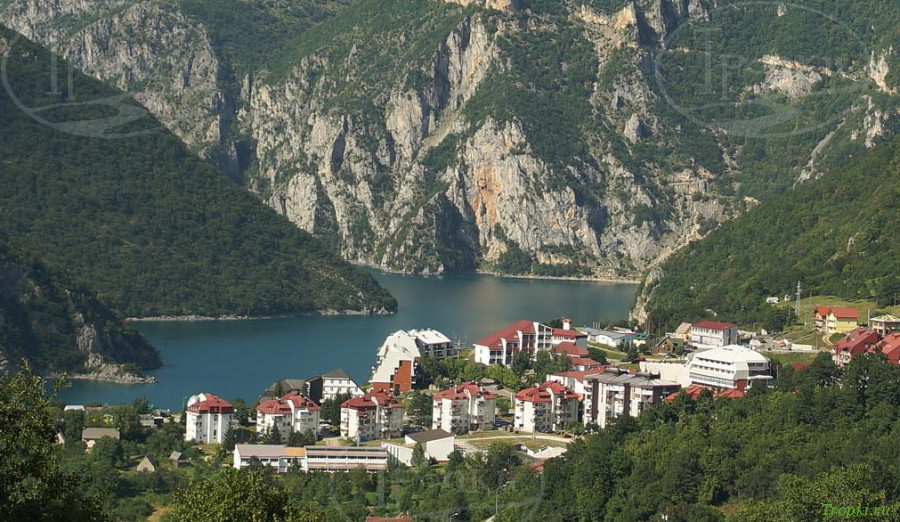 Плужине