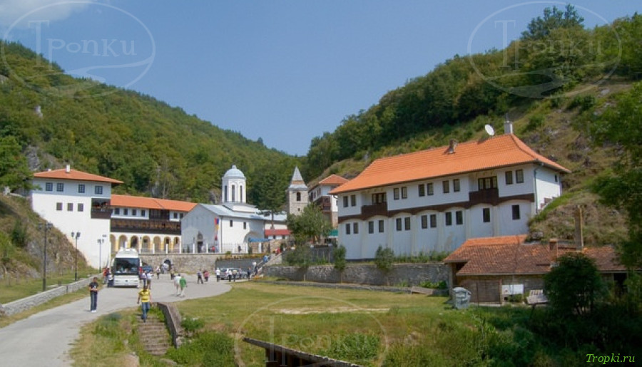 Плевля