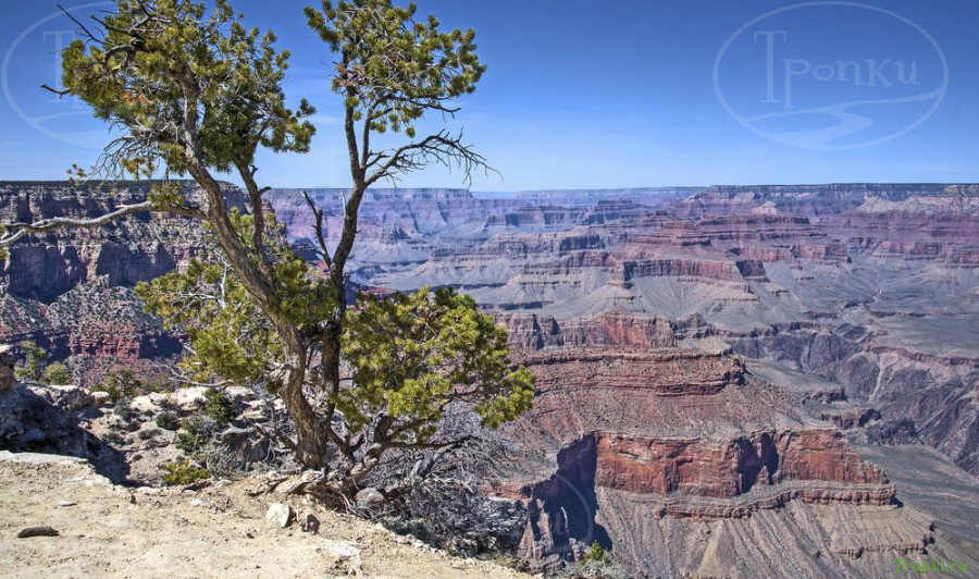 Деревня Гранд Каньон