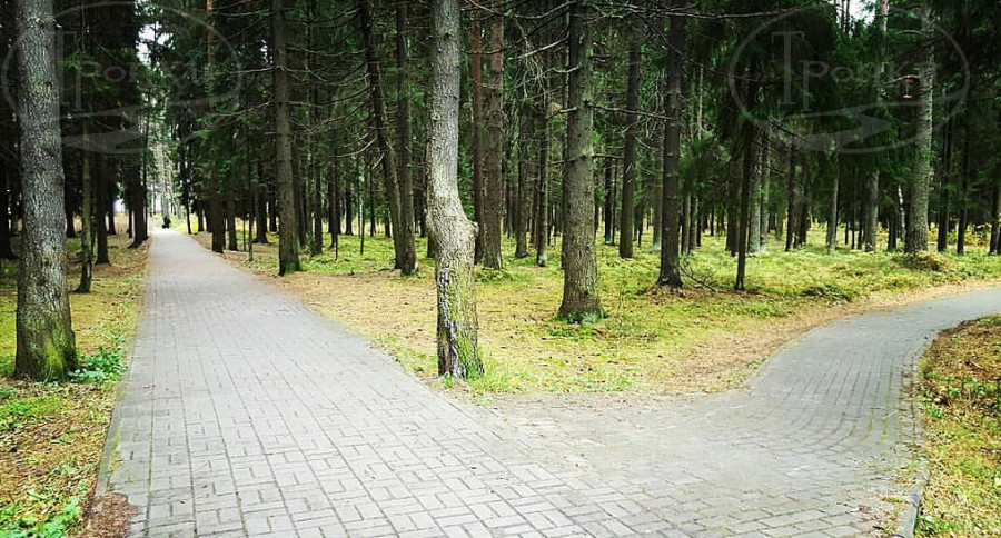 Репино