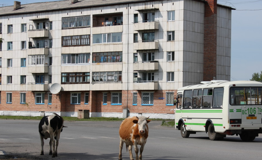 Асино