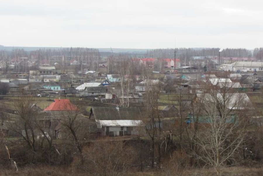 Дубёнки